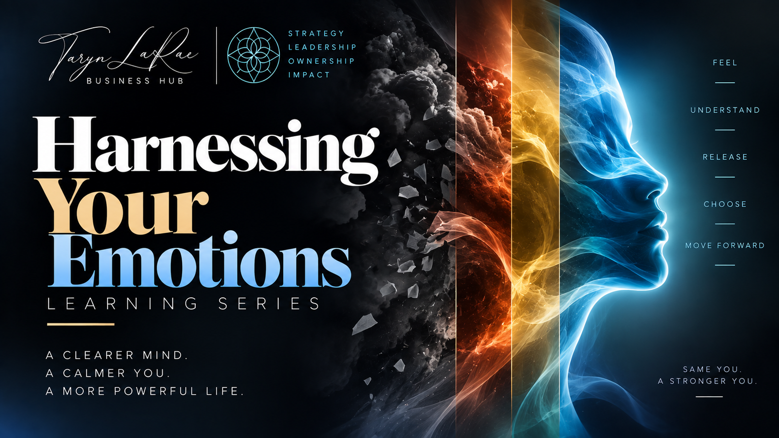 Harnessing Your Emotions (8 Part Video Series)